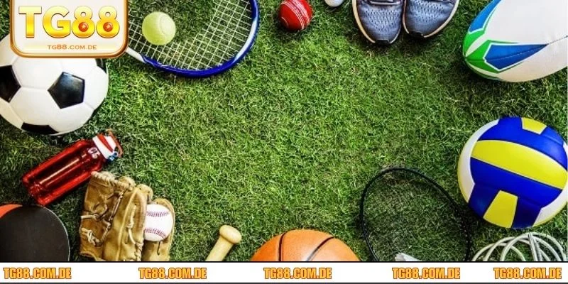 3 bộ môn cá cược thể thao đặc sắc nhất tại sảnh cược