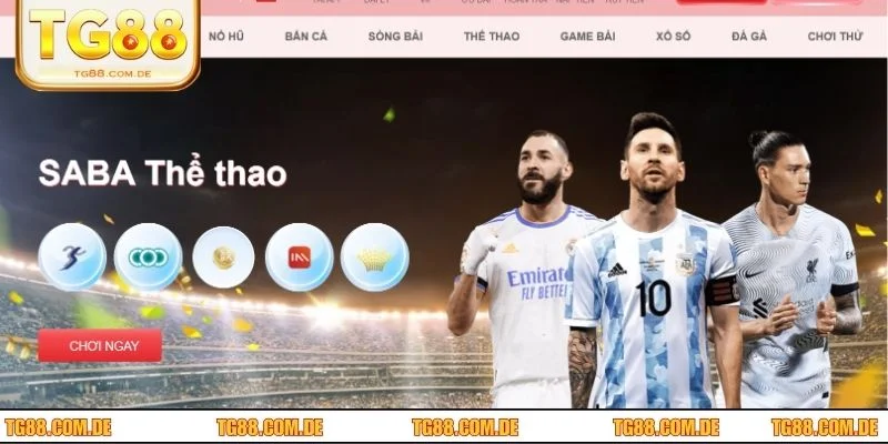 Thể thao TG88 mang đến hàng ngàn trận thi đấu đỉnh cao