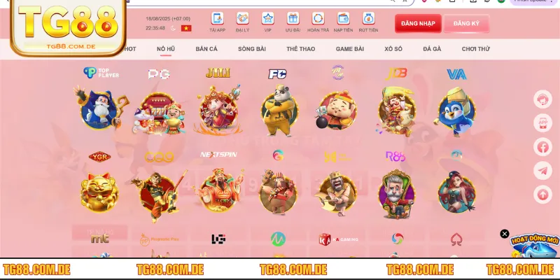 Tìm hiểu chi tiết cách thức tham gia cá độ trực tuyến